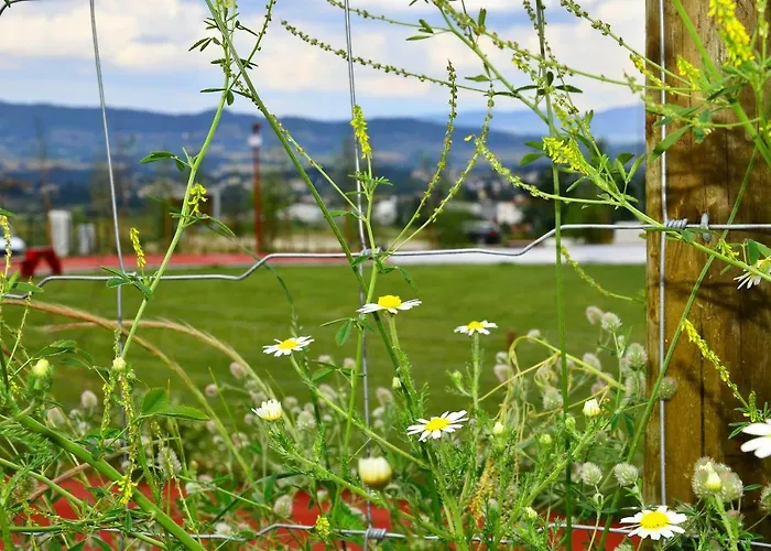 Art'estrela Appartement *